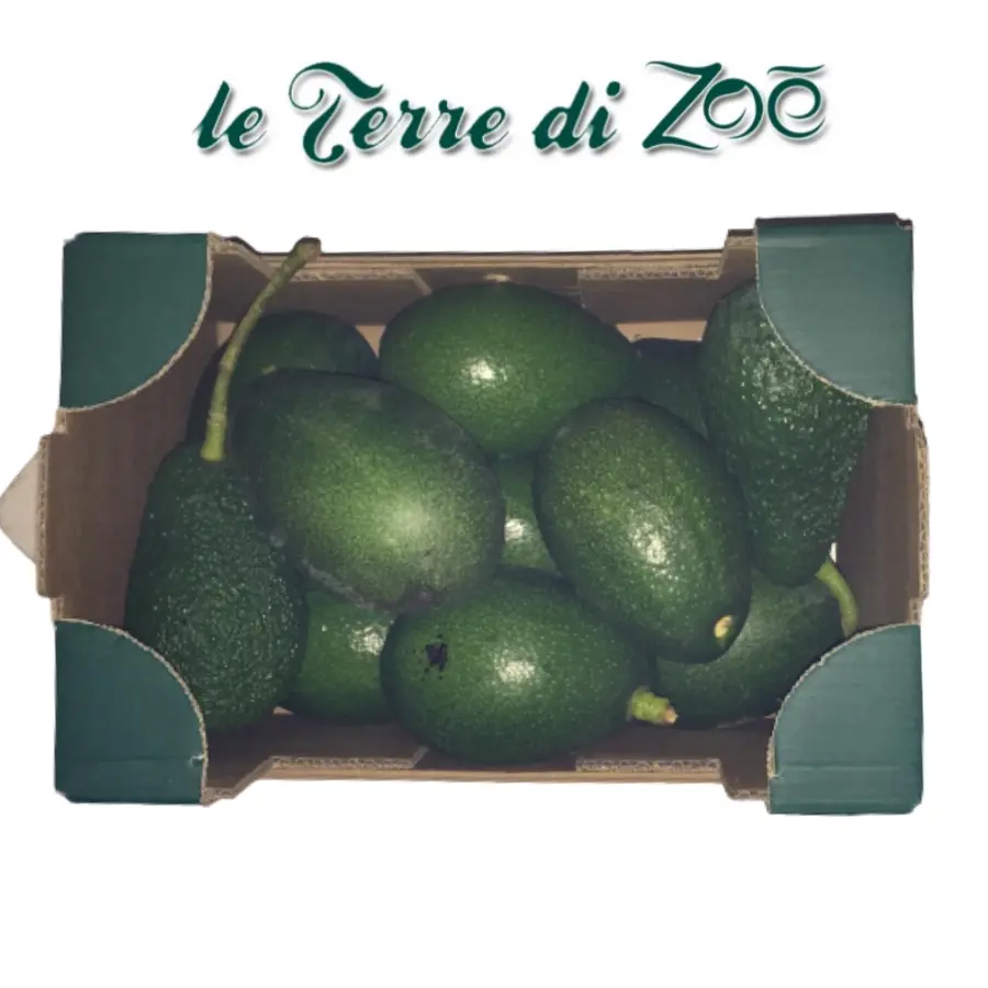 Foto 1 di Le Terre di Zoe