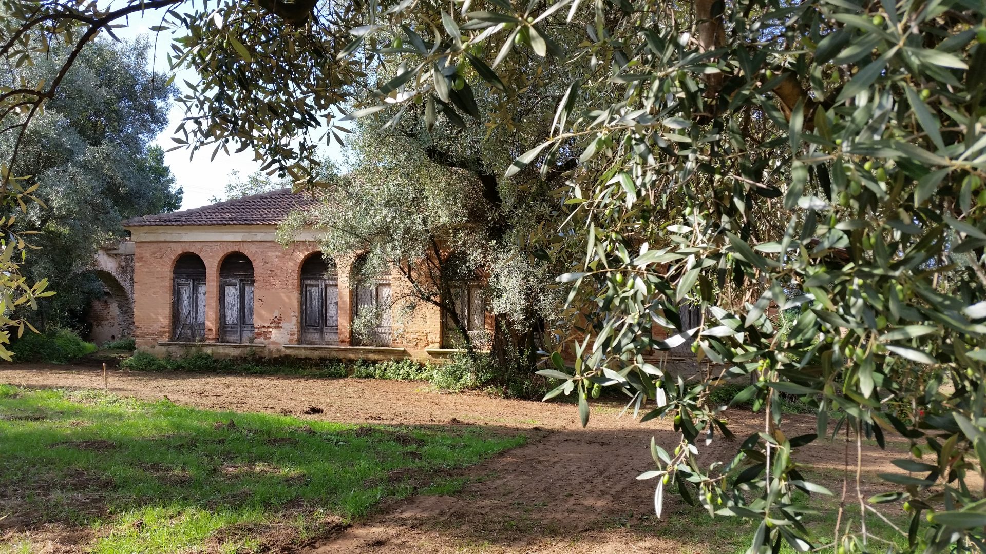 Foto 10 di Azienda Agricola Francesca De Leo Alberti