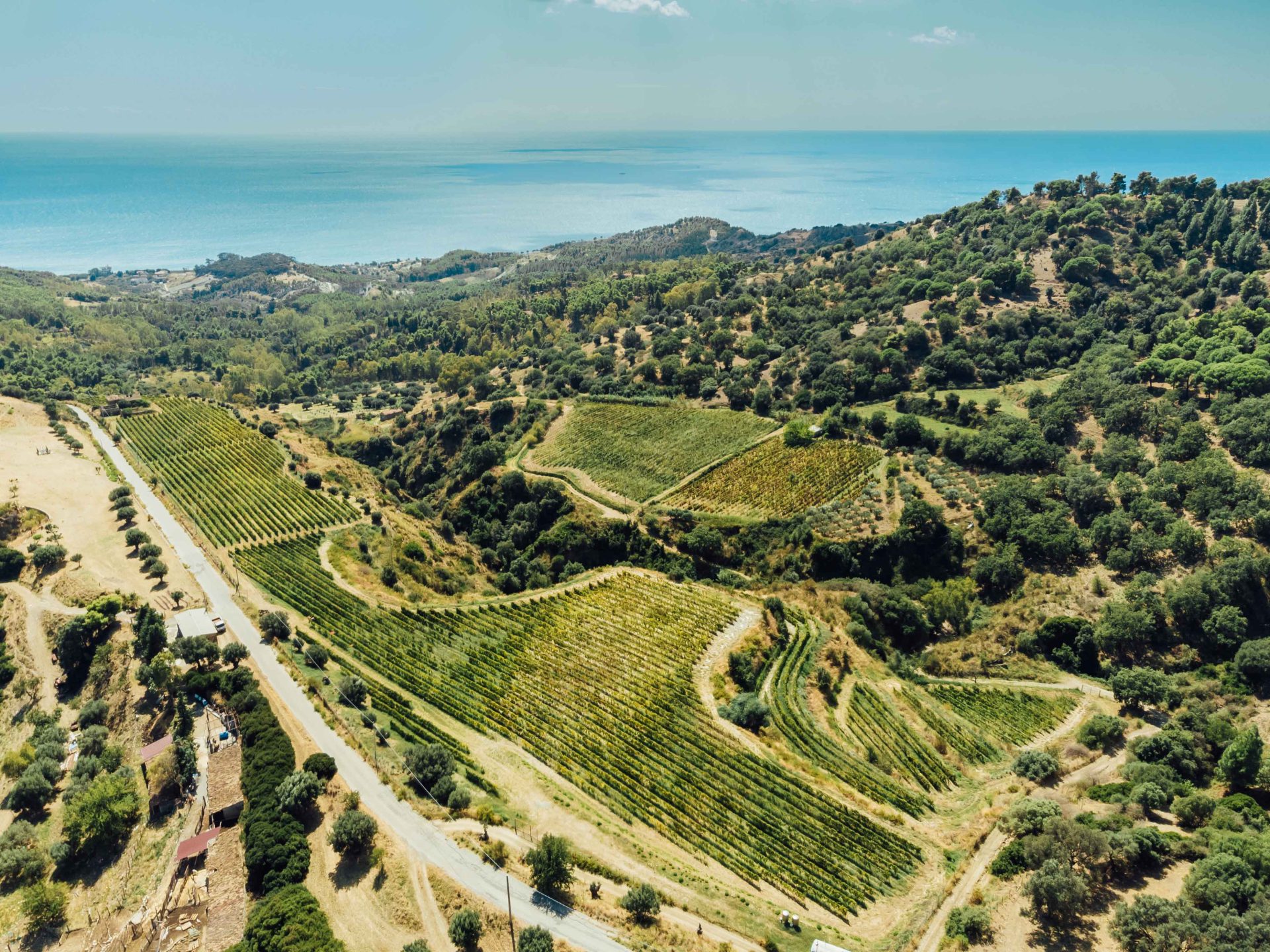 Foto 7 di Azienda Agricola Nesci
