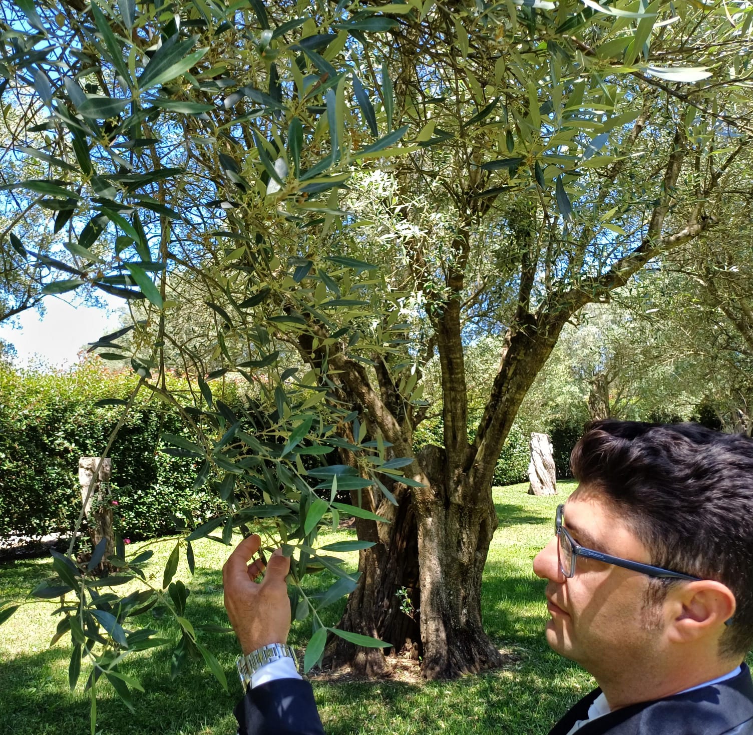 Foto 1 di Frantoio Foti