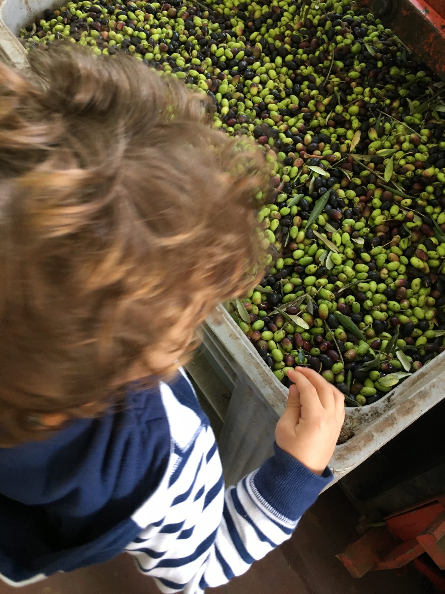 Foto 5 di Eredi di Elvira De Leo