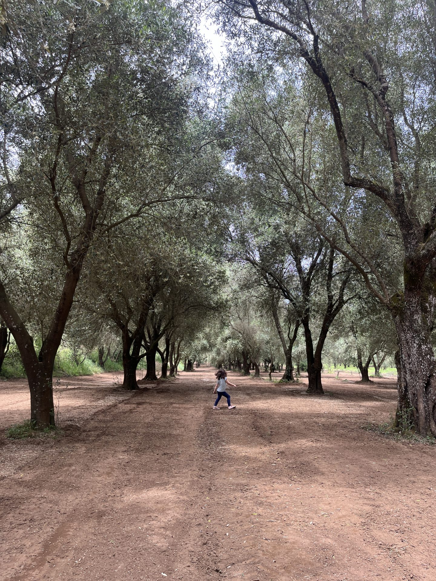 Foto 4 di Eredi di Elvira De Leo