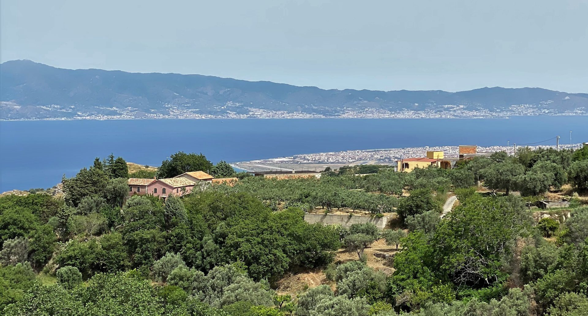 Foto 4 di Azienda Agricola Minniti