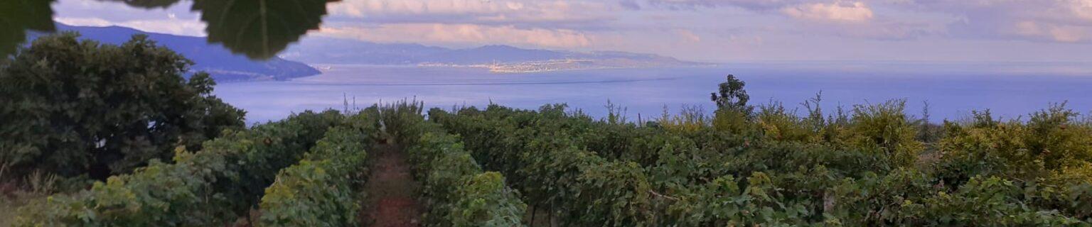 Cover Podere Lombardo