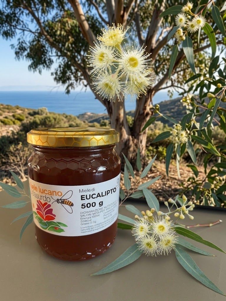 Miele di Eucalipto 500 G
