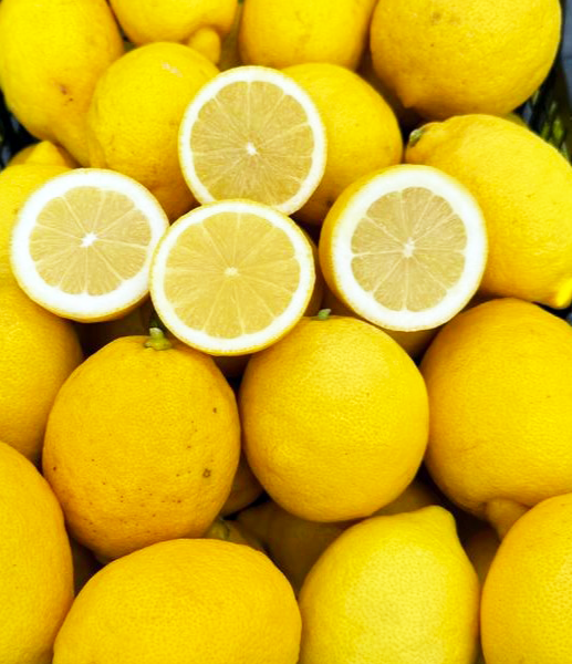 Limoni Biologici