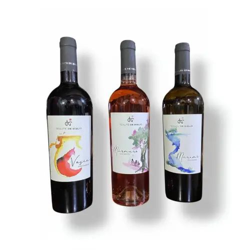Cassa di vino da 6 bottiglie Tenute De Giglio