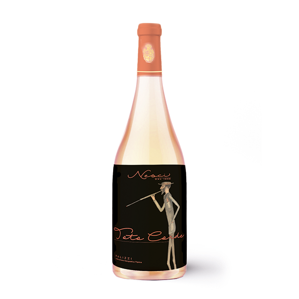 Toto Corde - Vino rosato - 6 bottiglie